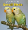 Small_birds